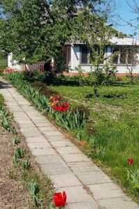 Куплю дом Черниговской области