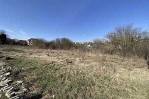 Продажа земли сельскохозяйственного назначения, Тернопольская, Петриков