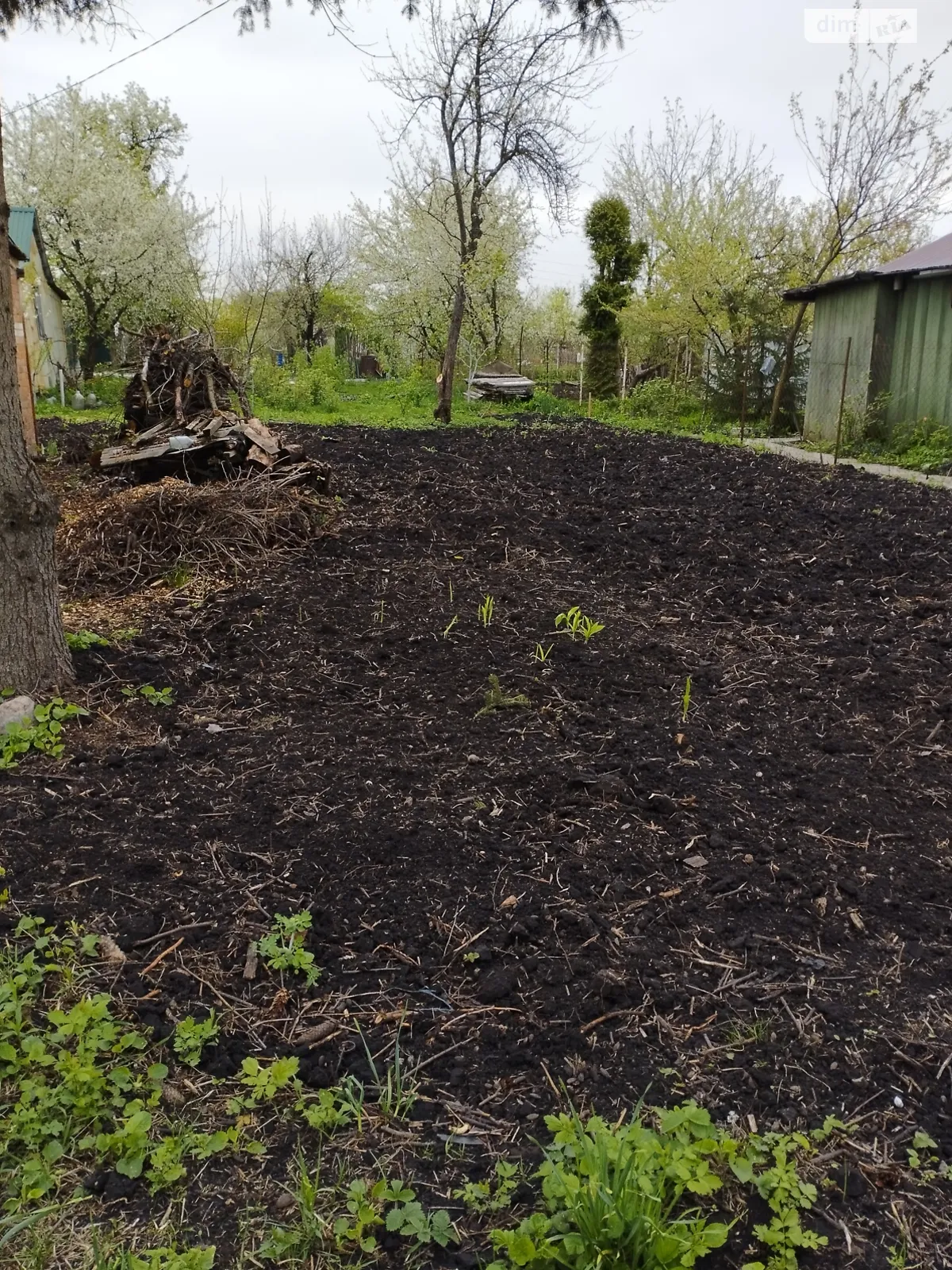 Продается земельный участок 4.4 соток в Сумской области, цена: 4300 $ - фото 1