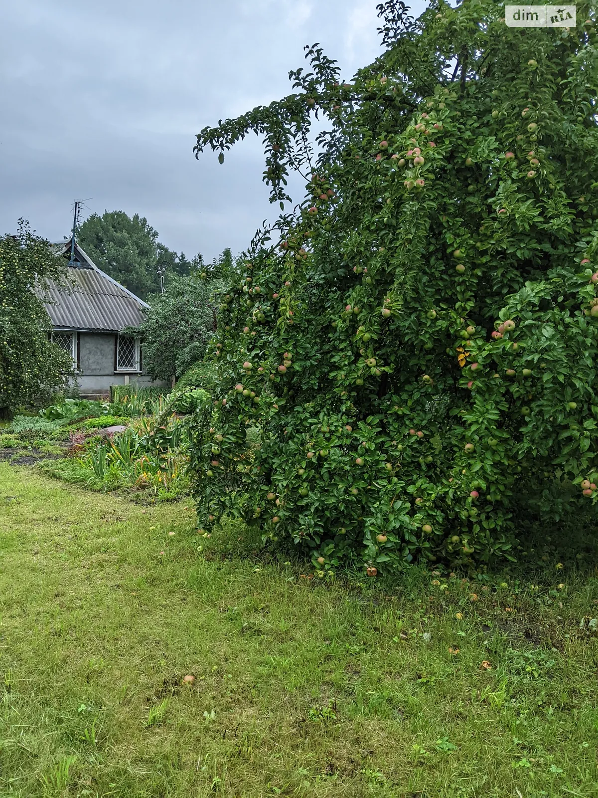 Продается одноэтажный дом 56.6 кв. м с гаражом, цена: 10000 $ - фото 1