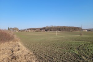 Продаж землі сільськогосподарського призначення, Тернопільська, Підгородне, Бережанська вулиця