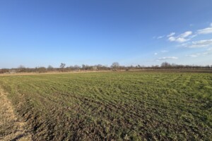 Продажа земли сельскохозяйственного назначения, Винницкая, Хижинцы, Шевченко улица