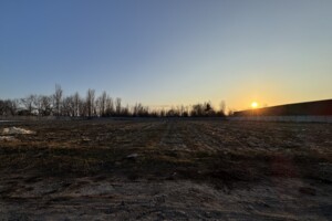 Продажа земли сельскохозяйственного назначения, Винницкая, Сокиринцы, Шевченко улица