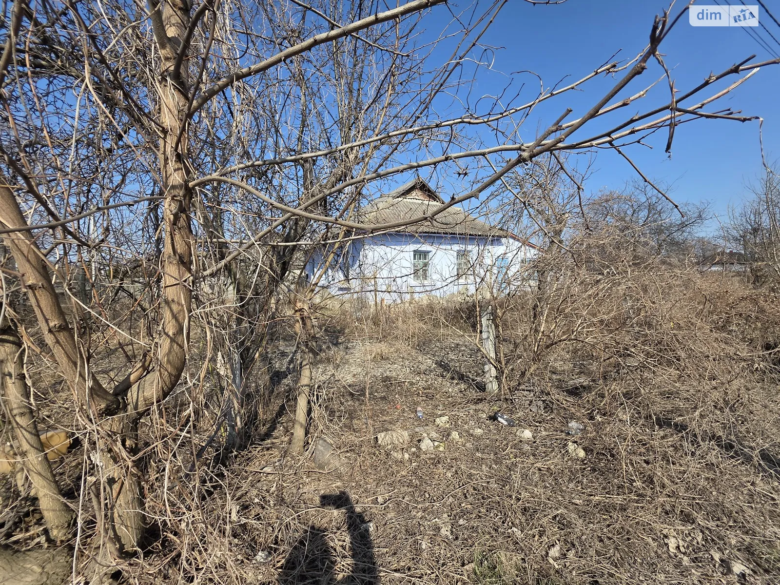 Продается земельный участок 19 соток в Винницкой области, цена: 20000 $ - фото 1