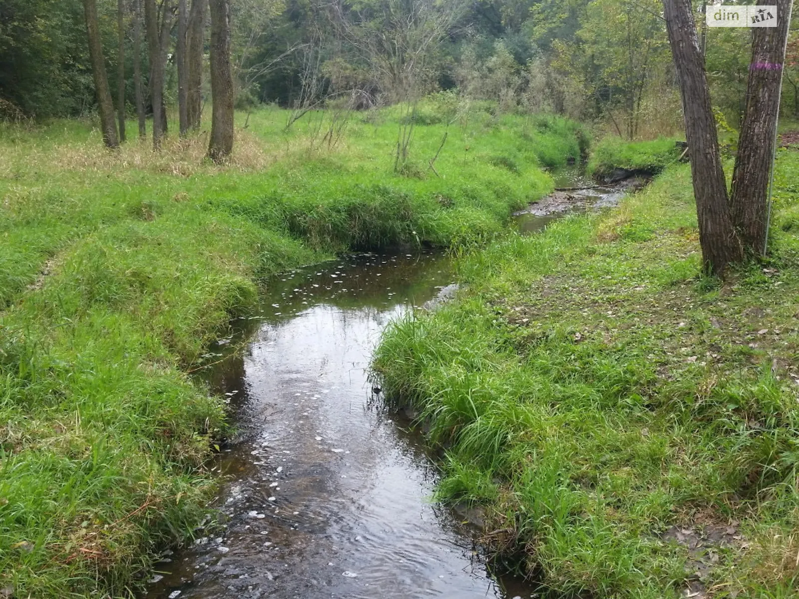 Продается земельный участок 10 соток в области, цена: 17000 $ - фото 1