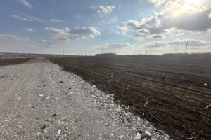 Продажа земли сельскохозяйственного назначения, Винницкая, Лука-Мелешковская