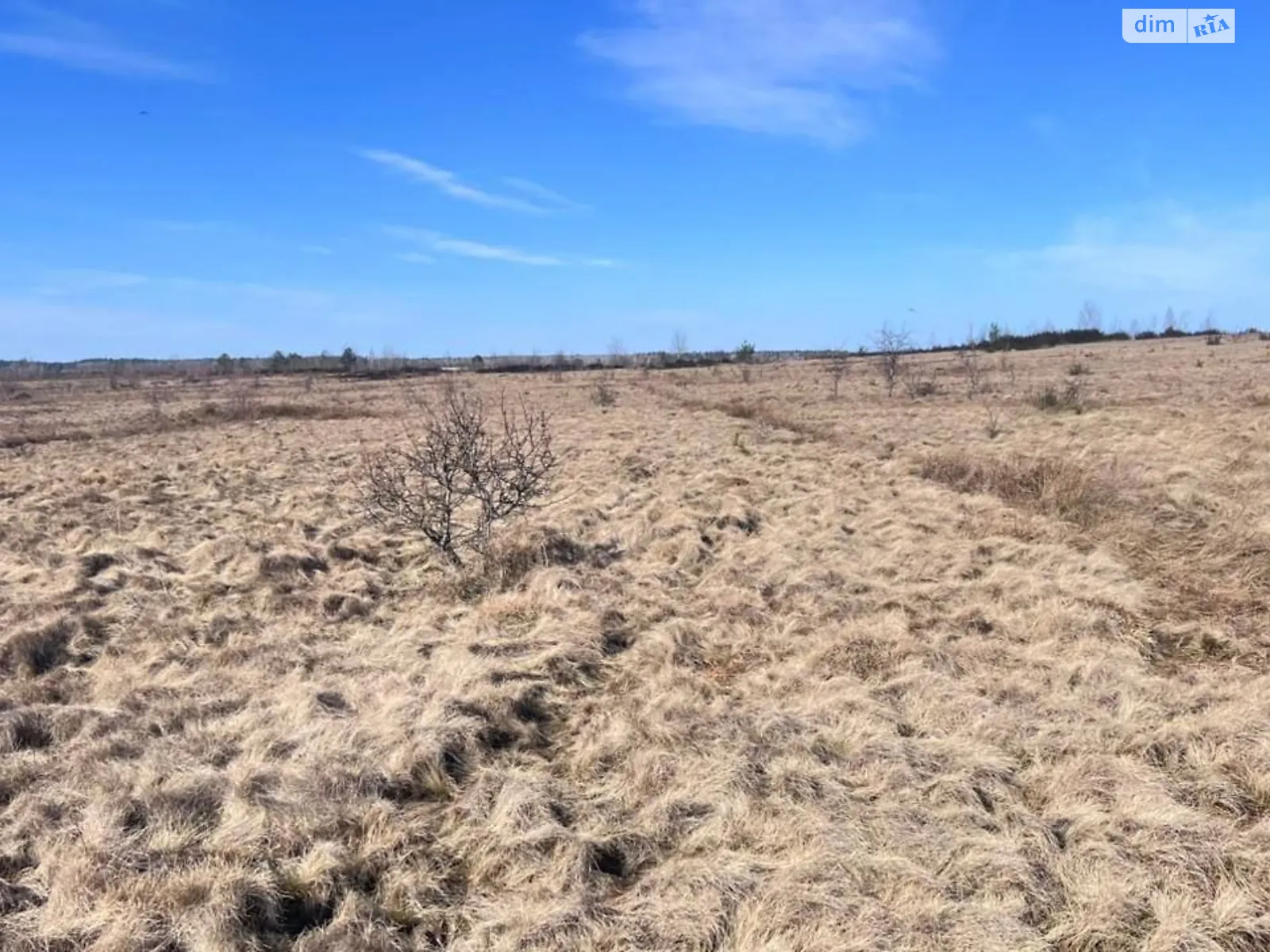 Голичівка, цена: 35131 грн - фото 1