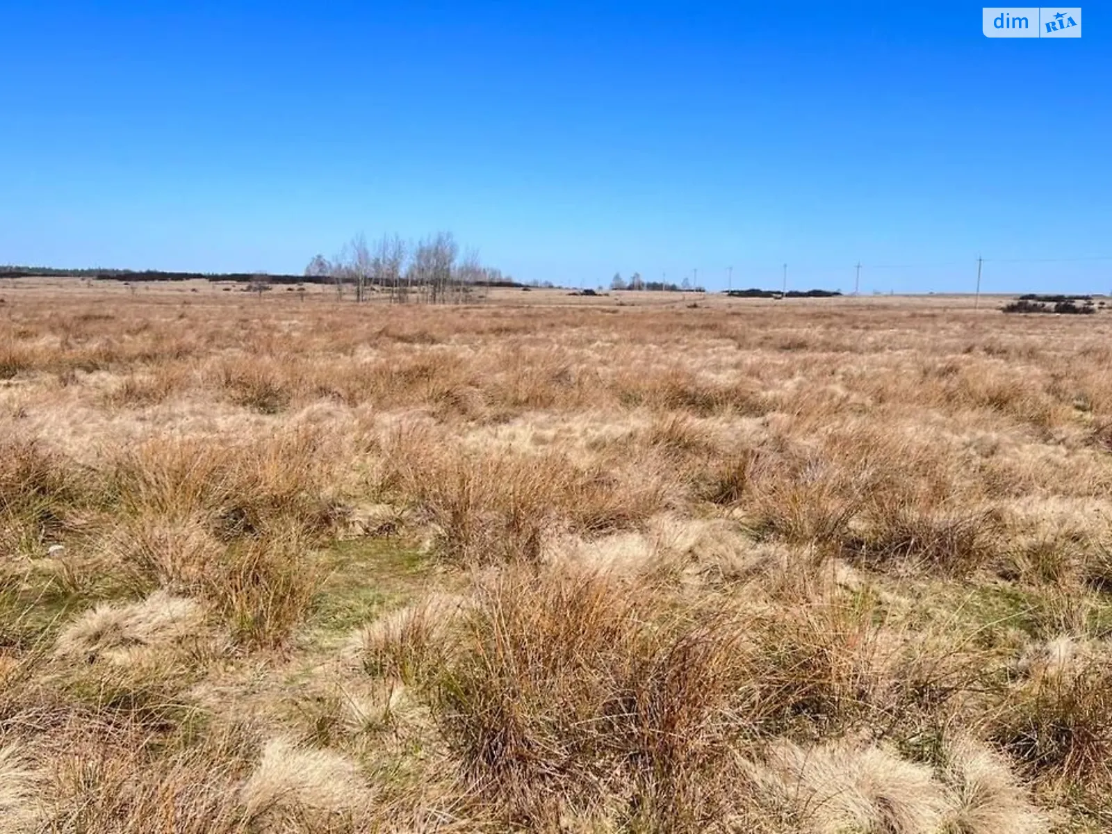 Голичівка, цена: 18492 грн - фото 1