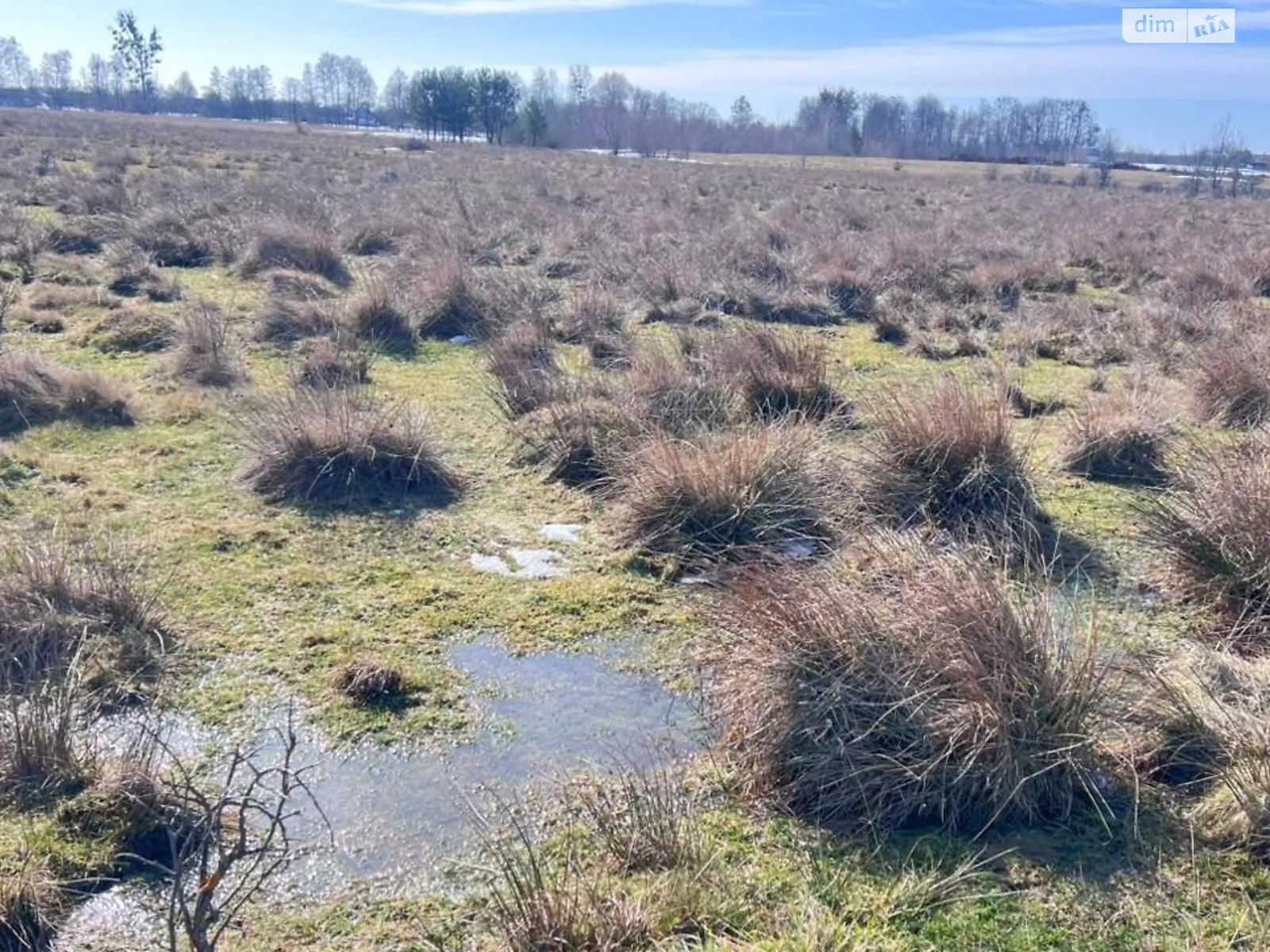 Голичівка, цена: 46094 грн - фото 1