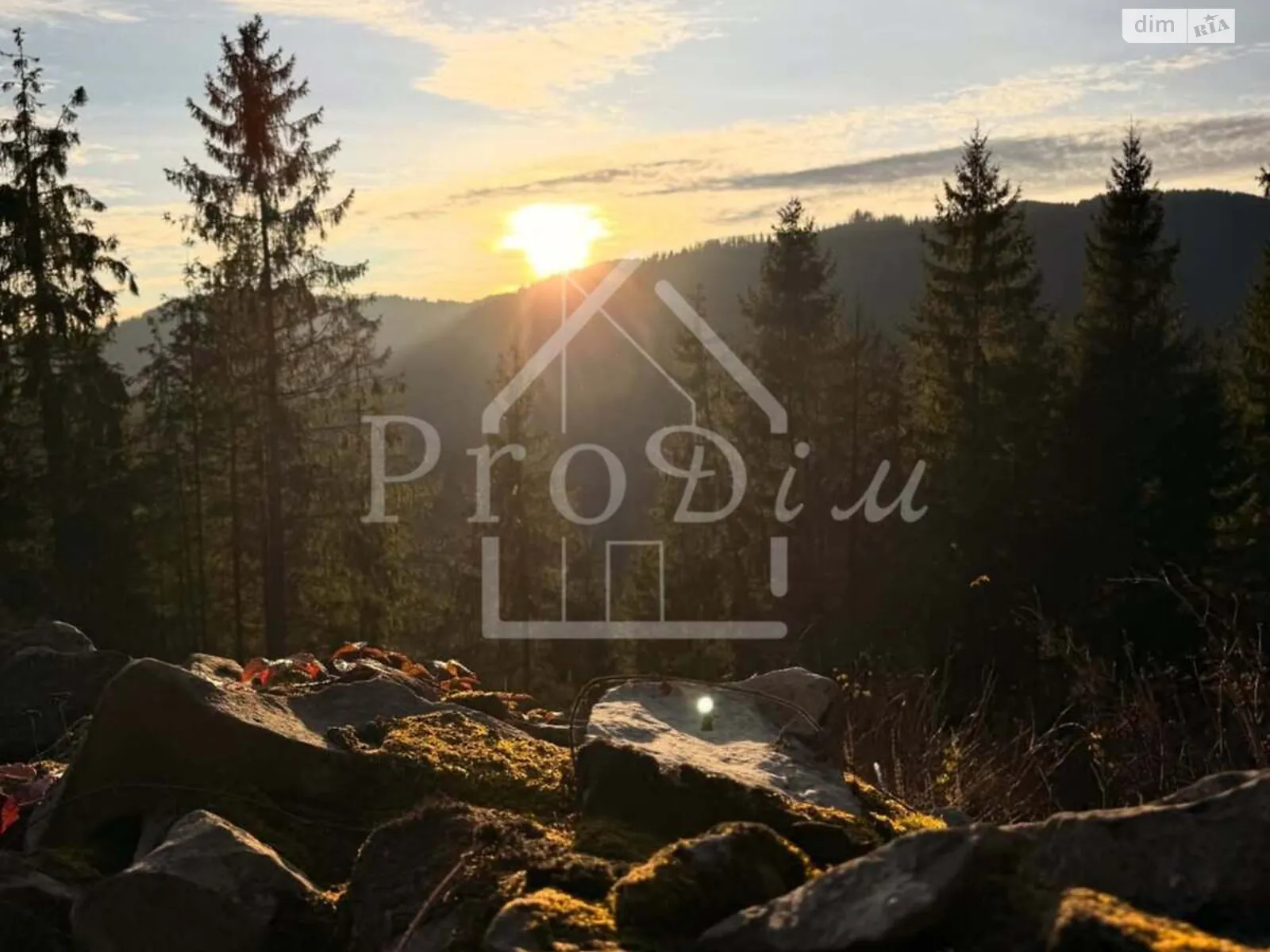 Продается земельный участок 80 соток в Ивано-Франковской области, цена: 216000 $ - фото 1