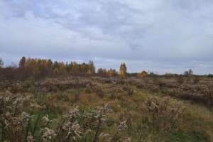 Довгострокова оренда землі сільськогосподарського призначення, Житомирська, Дриглів