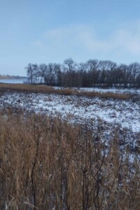 Довгострокова оренда землі комерційного призначення, Кіровоградська, Великі Трояни