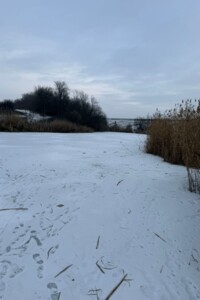 Довгострокова оренда землі комерційного призначення, Кіровоградська, Лозувата