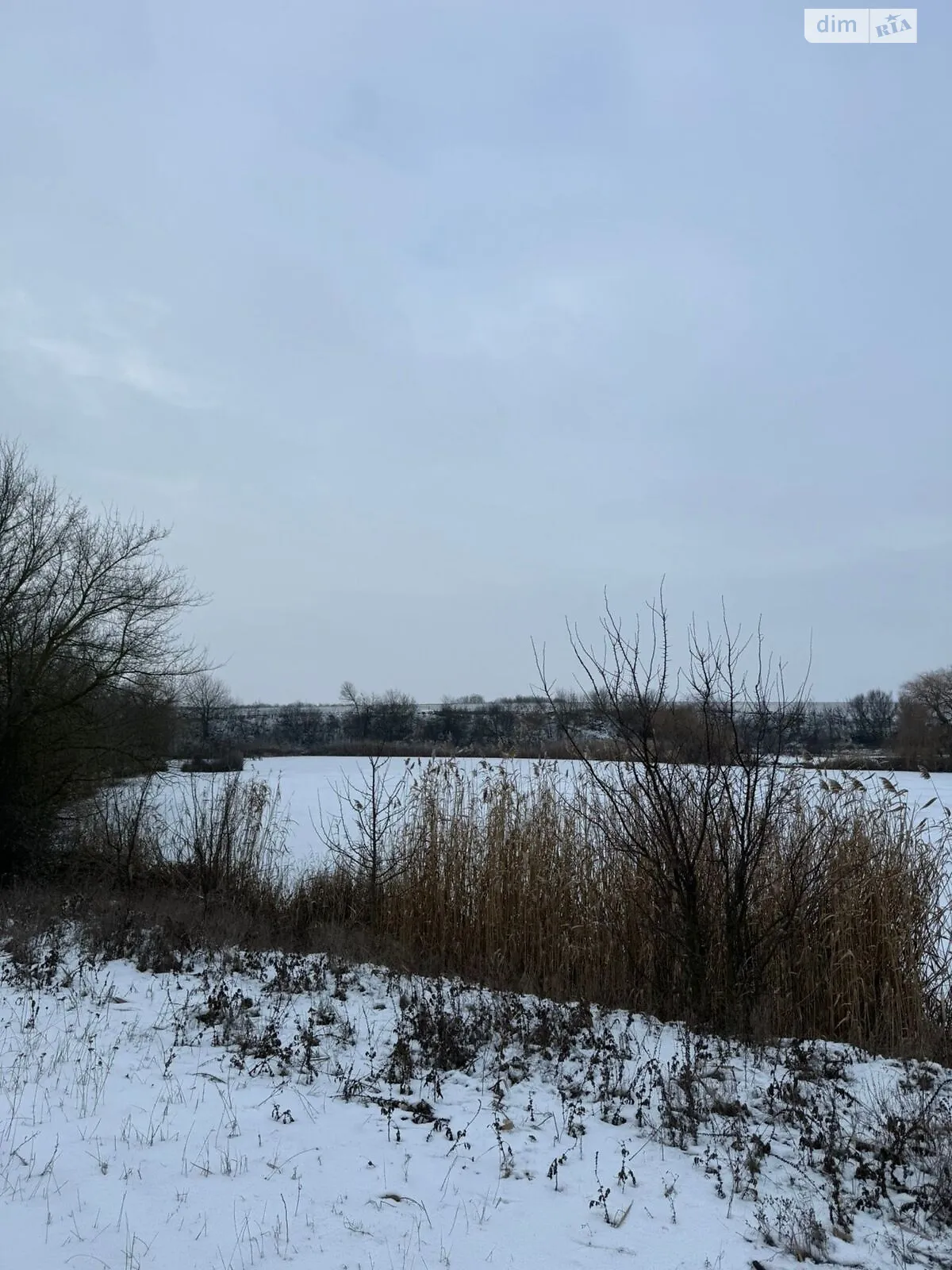 Лозувата, цена: 9869 грн - фото 1
