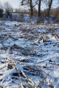 Довгострокова оренда землі комерційного призначення, Кіровоградська, Великі Трояни