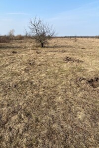 Довгострокова оренда землі сільськогосподарського призначення, Рівненська, Золоте