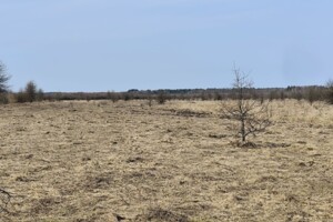 Довгострокова оренда землі сільськогосподарського призначення, Рівненська, Партизанське