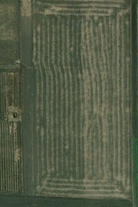 Долгосрочная аренда земли сельскохозяйственного назначения, Житомирская, Топоры