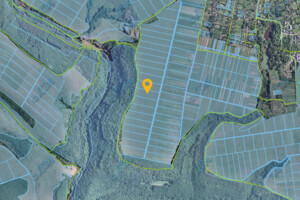 Долгосрочная аренда земли сельскохозяйственного назначения, Винницкая, Вендичаны