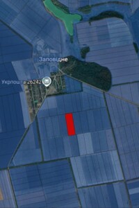 Долгосрочная аренда земли сельскохозяйственного назначения, Кировоградская, Малая Виска