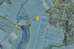 Долгосрочная аренда земли сельскохозяйственного назначения, Винницкая, Вендичаны