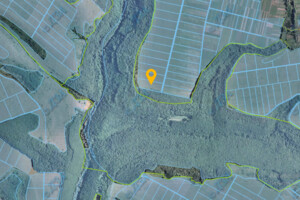 Долгосрочная аренда земли сельскохозяйственного назначения, Винницкая, Вендичаны