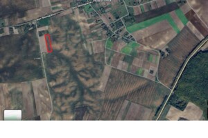 Долгосрочная аренда земли сельскохозяйственного назначения, Волынская, Новоселки (Горохов)