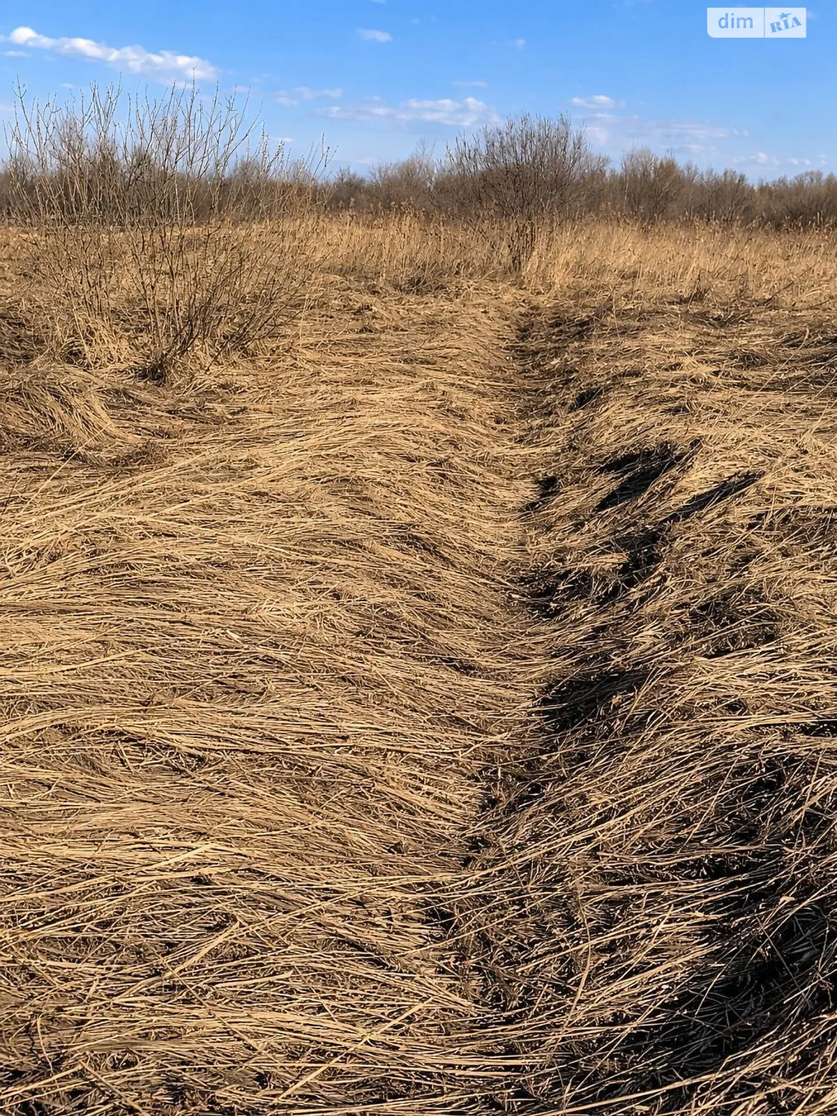 Сдается в аренду земельный участок 0.2 соток в Львовской области, цена: 119561 грн - фото 1
