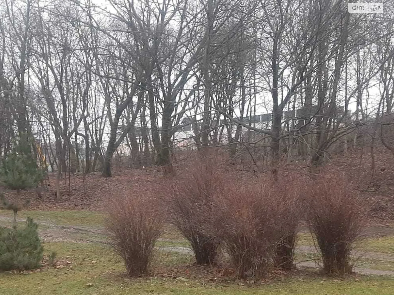 Продается земельный участок 20 соток в Киевской области, цена: 1100000 $ - фото 1