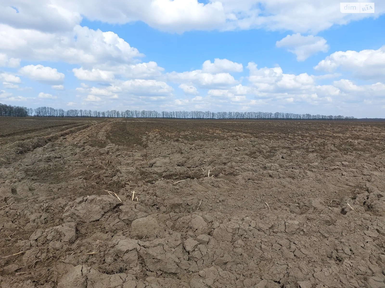 Стрижавка, цена: 420000 $ - фото 1