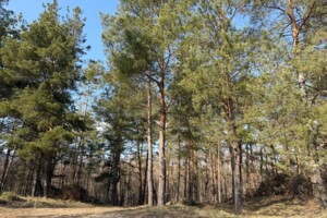 Продаж ділянки під житлову забудову, Київська, Гореничі, Дружби вулиця