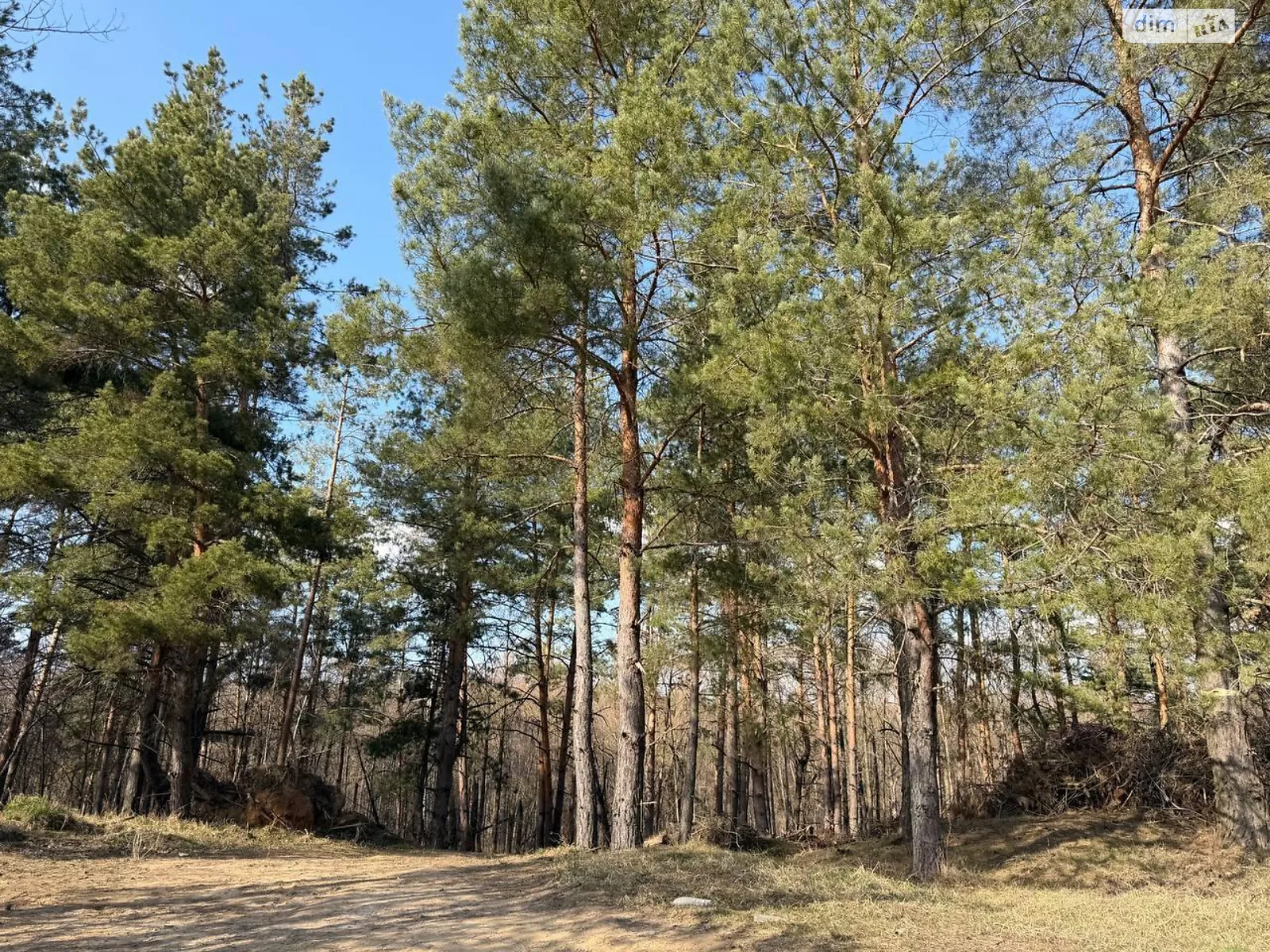 Продается земельный участок 25 соток в Киевской области, цена: 96000 $ - фото 1