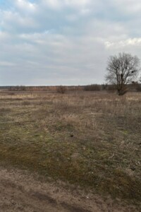 Куплю земельный участок в Ирпене без посредников