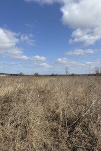 Куплю земельный участок в Ирпене без посредников