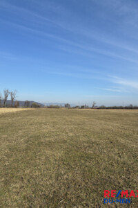 Продажа земли сельскохозяйственного назначения, Закарпатская, Шаян, Центральная улица