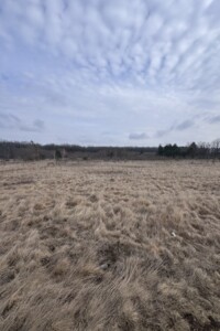 Продажа участка под жилую застройку, Винницкая, Селище (Тывров), Ивана Франко (Чапаева) улица