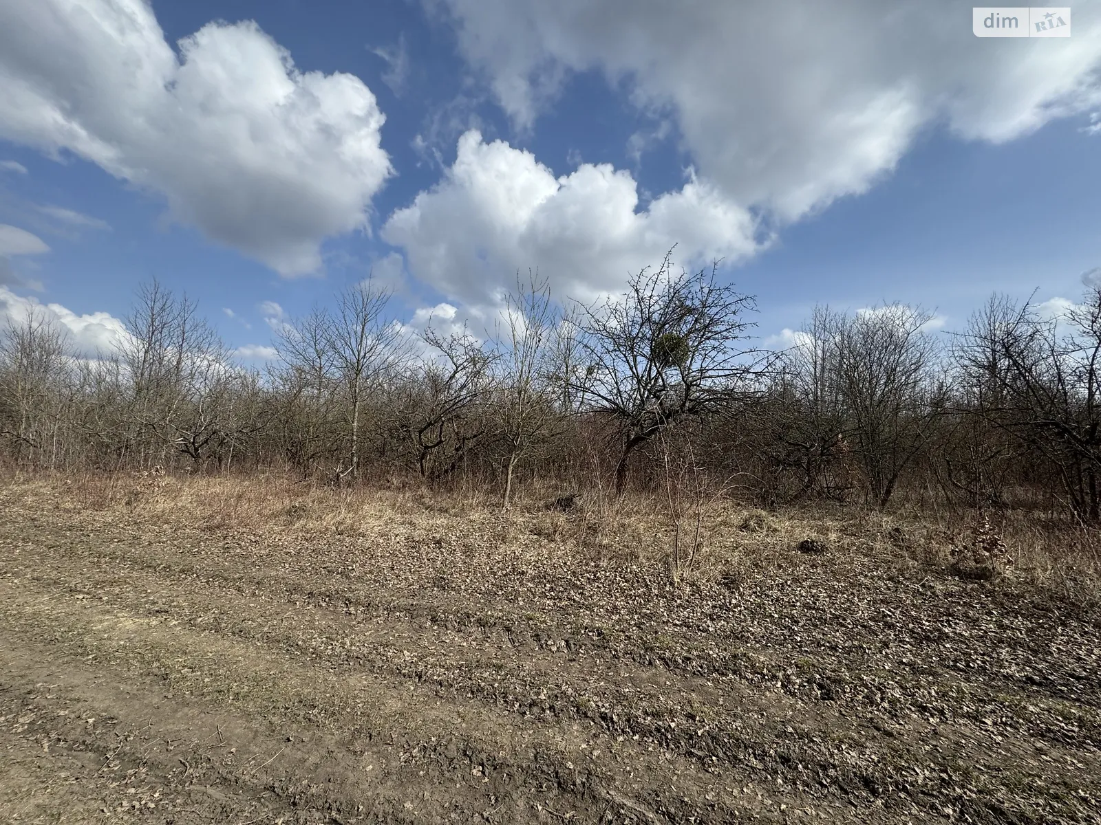 Продается земельный участок 8.66 соток в Хмельницкой области, цена: 8000 $ - фото 1