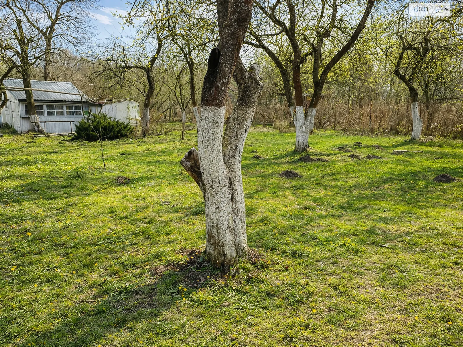 Продается земельный участок 6 соток в Львовской области, цена: 18500 $ - фото 1