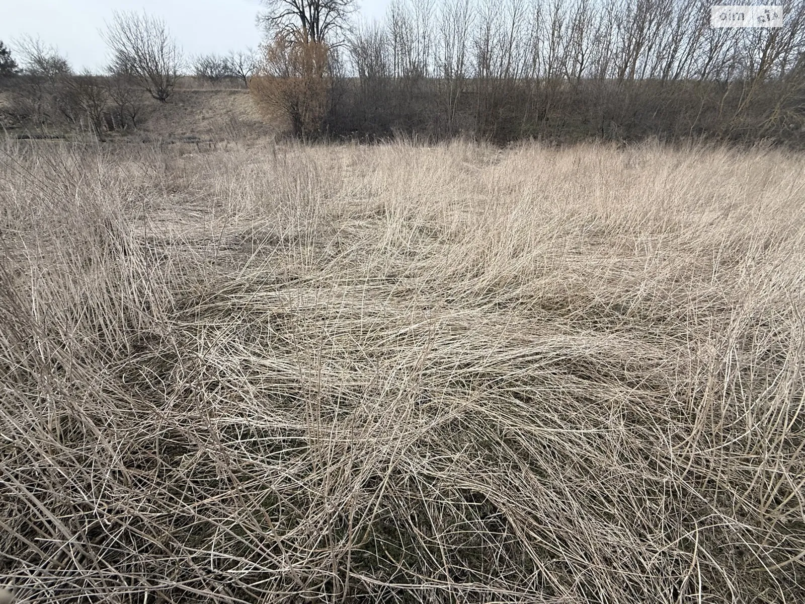 Продается земельный участок 22 соток в Тернопольской области, цена: 21000 $ - фото 1