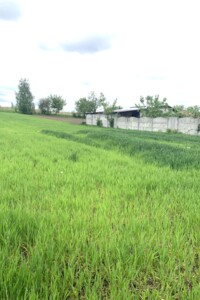 Продажа участка под жилую застройку, Ровенская, Великий Житин