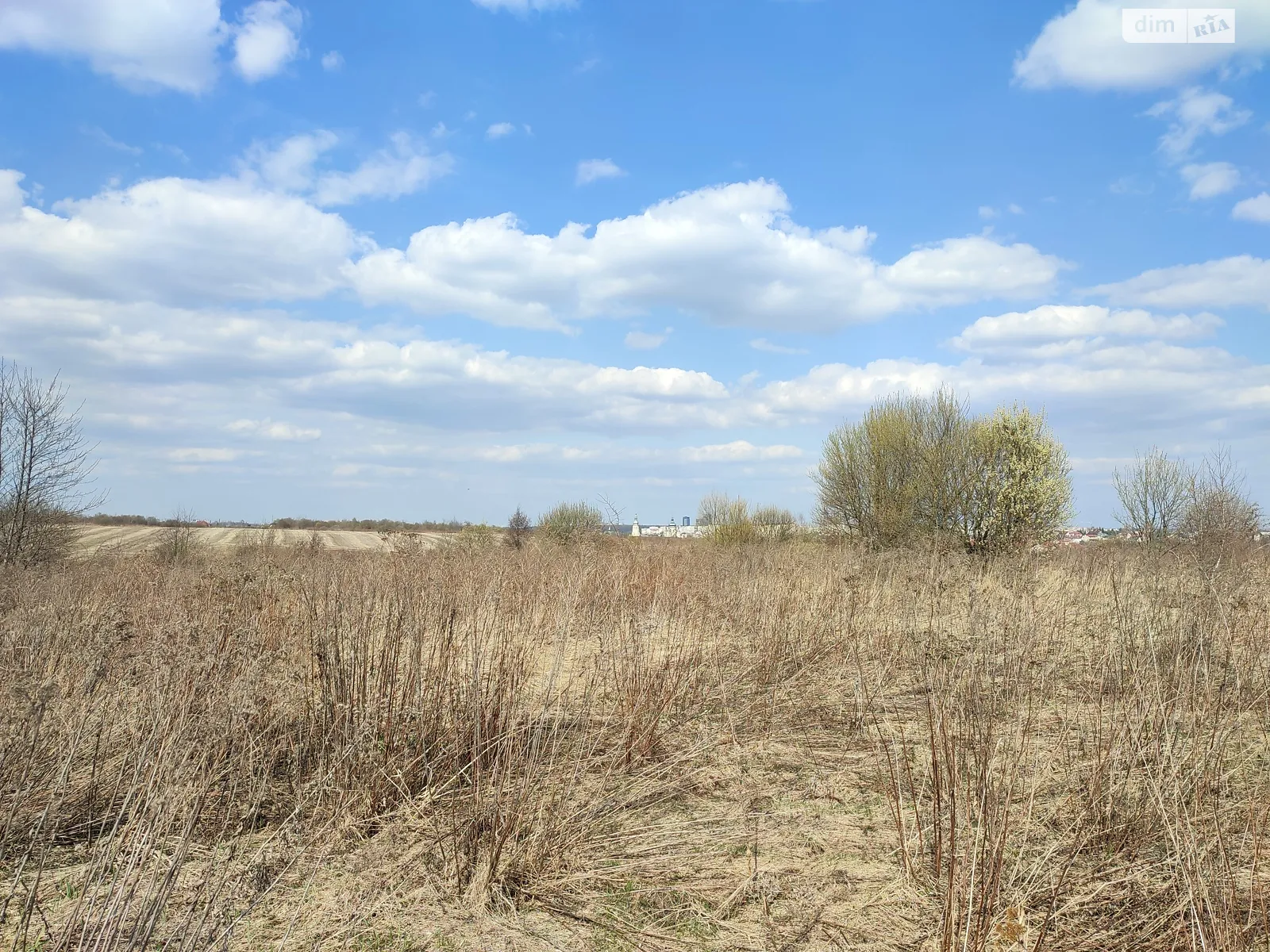 Зубра, цена: 75000 $ - фото 1