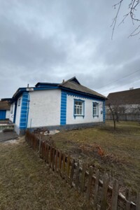 Продаж будинку, Полтавська, Решетилівка, р‑н. Решетилівка, Червонопартизанська вулиця