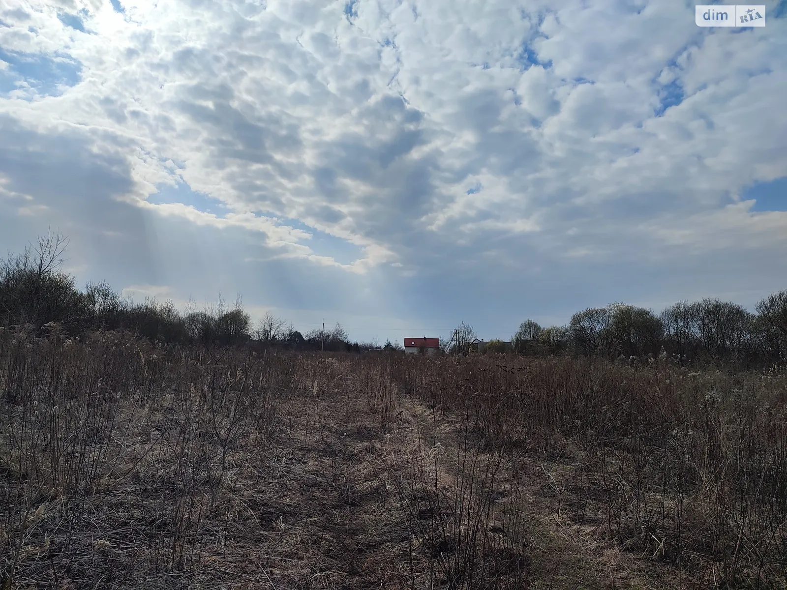 Зубра, цена: 43355 $ - фото 1