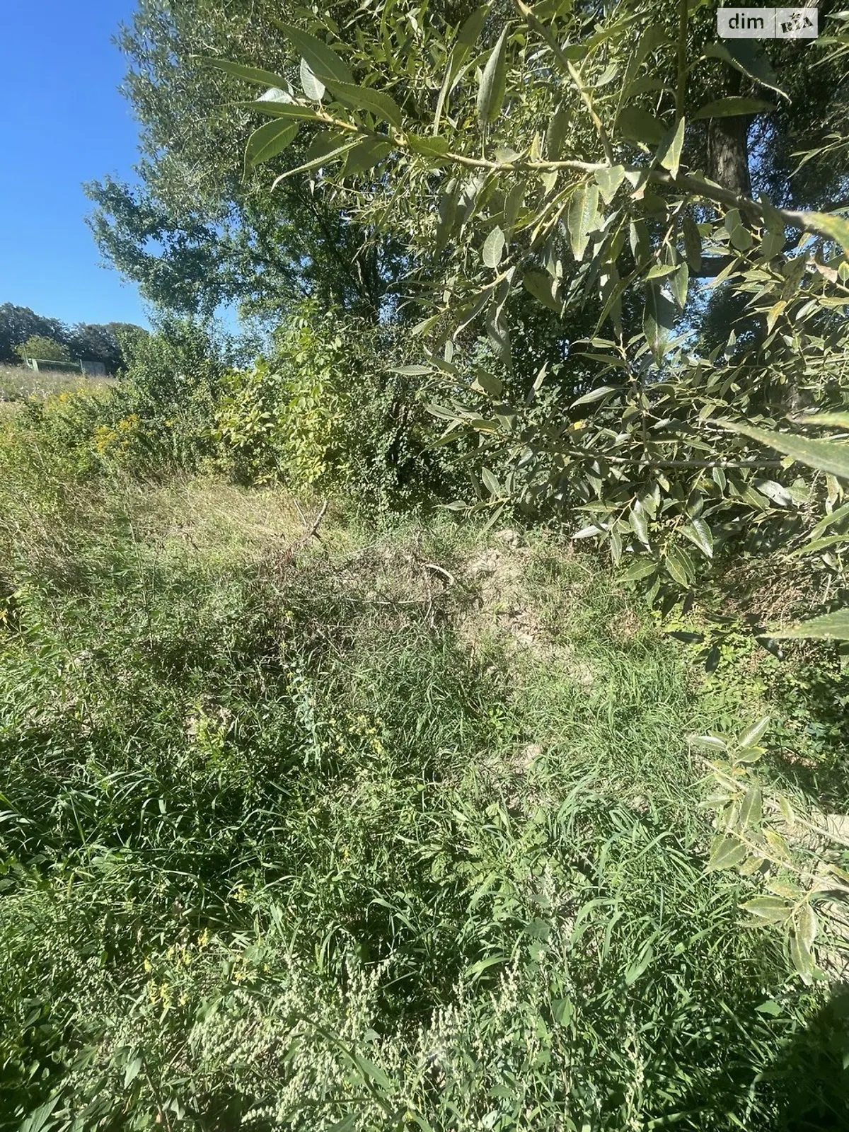 Зарванцы, цена: 135000 $ - фото 1