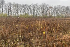 Продажа участка под жилую застройку, Винницкая, Винницкие Хутора