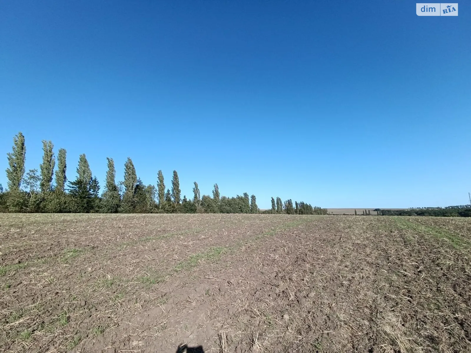 Продается земельный участок 10 соток в Хмельницкой области, цена: 4000 $ - фото 1
