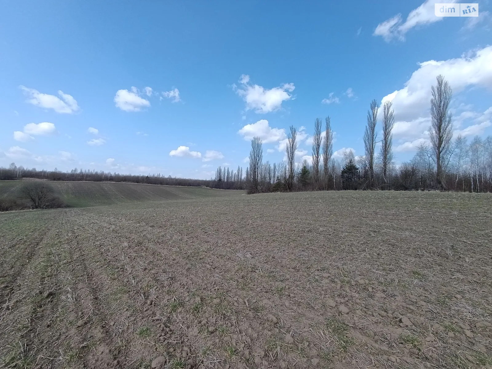 Продается земельный участок 10 соток в Хмельницкой области, цена: 4000 $ - фото 1