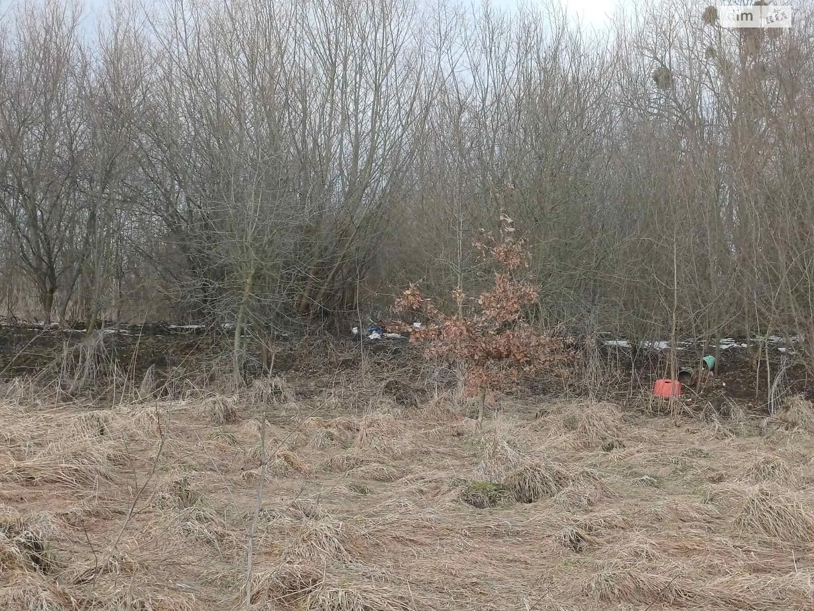 Сдается в аренду земельный участок 3.1658 соток в Львовской области, цена: 17224 грн - фото 1