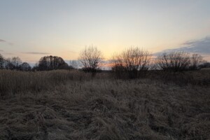 Продаж землі сільськогосподарського призначення, Вінницька, Березина