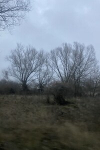 Куплю дом Черниговской области